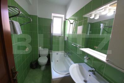 Spatiu comercial de inchiriat, Calea Moldovei, zona excelent - 11