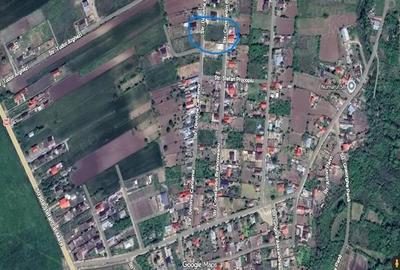 Teren de 1490 mp, în Secuia - 2
