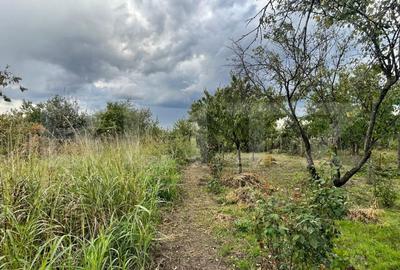 Casa si teren de 2368 mp , Zona Calea Bucuresti - 2