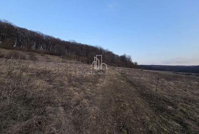 Teren extravilan 28.800 Mp , zona Rora, Sighisoara - 1