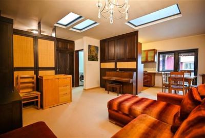 FILM! Rezidenta montana,decor apreciabil, pod mansardabil,garaj propriu,Central - 13