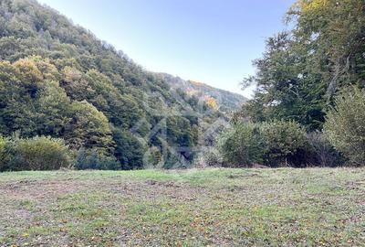 Teren pentru casa de vacanta pe Valea Bratcutei, Bihor - 13