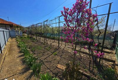 Casă cu 4 camere cu Teren 685 Mp în Mănești - 18