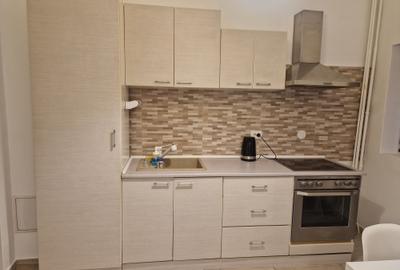 Peste drum de promenada râului Bega-cu vedere deschisa spre Parcul Catedralei - 4