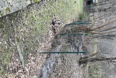 Casă cu Teren 2388 Mp în Fântânele - 3