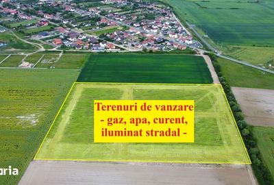 Teren de 540 mp, în Bucovăț - 3