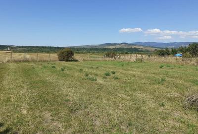 Casă cu 4 camere în Rușii-Munți - 1