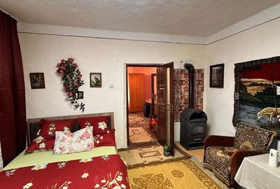 Casă cu 3 camere cu Teren 1413 Mp în Sânnicolau Român - 4