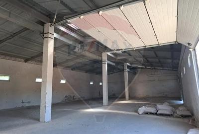 Spațiu comercial, de 2,500 mp, în Sângeorgiu de Pădure - 9