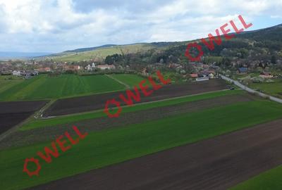 Teren intravilan de 5000 mp, în Bicfalău - 8