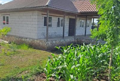 Casă cu 2 camere în Mereni - 4