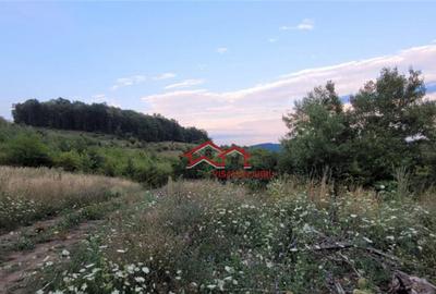 Oportunitate teren zona agrement sau parc eolian,Sibiu - 3