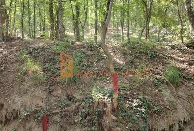 Teren de 1000 mp, în Merei - 5