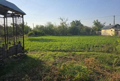 Casă cu 5 camere în Brăgăreasa - 2