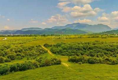 Teren 10,800mp Rasnov / Drumul DN73 - 1