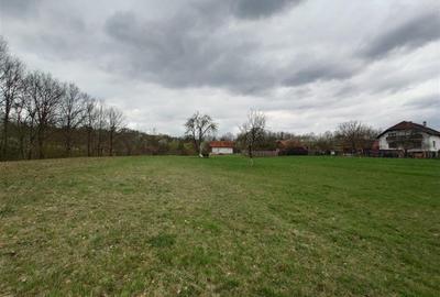 Teren intravilan de 9370 mp, în Țebea - 16