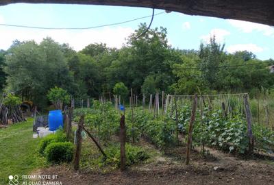 Casă cu 3 camere în Șeulia de Mureș