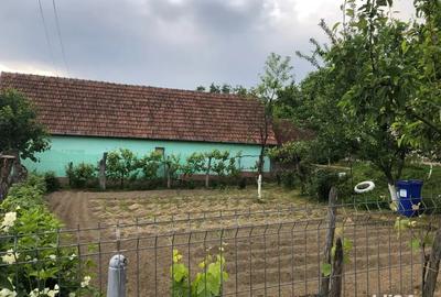 Vand casa in localitatea Sabisa - 5