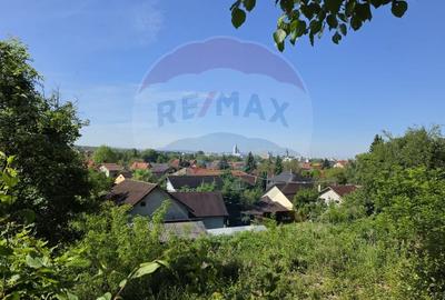 Teren Construcții intravilan de 760 mp, în Griviței - 8