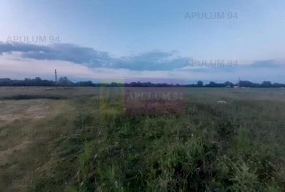 Teren aproape de Bucuresti langa padure intre case - 7