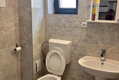 Apartament cu 3 camere decomandat, mobilat în Vasile Aaron - 10