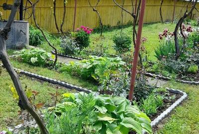 Casă cu 2 camere în Onești - 10