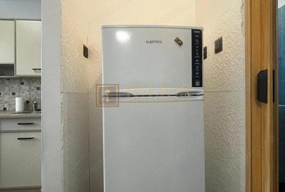 Aproape de UMFT, o camera, pet-friendly. - 3