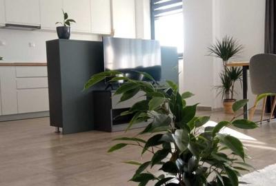 Apartament cu 2 camere, mobilat în Cetate - 2