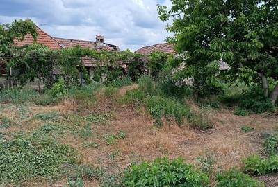 Vand casa la tara - 12