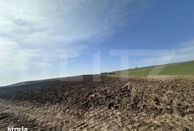 Teren de 15000 mp, în Sântuhalm