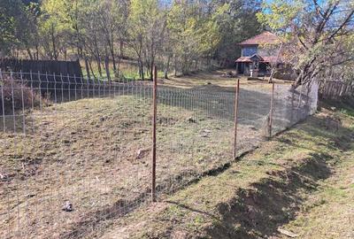 Casa batraneasca - 5