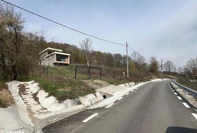 Casă cu 4 camere cu Teren 4038 Mp în Milcoiu - 5