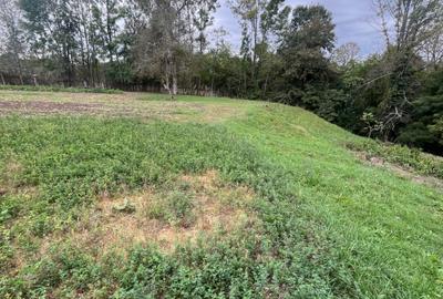 Spațiu comercial, în Almaș - 5