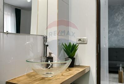Apartament 2 camere , renovat, mobilat- utilat,  zona centrala - 14