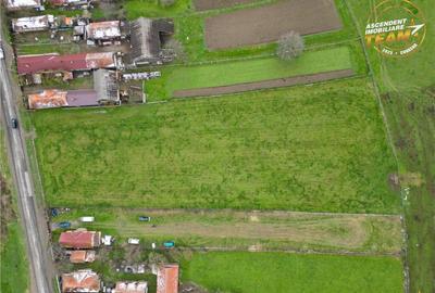 FILM!Potential rezidential investitional: 8.000 mp intravil - 1