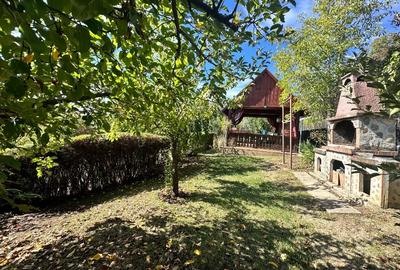 Vanzare vila superbă, P+1+Pod, Albota - 7