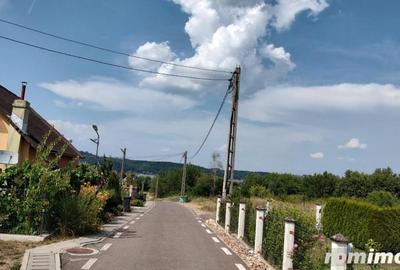 De Vanzare Parcele Teren Pentru Cabana Lacul Surduc - 3