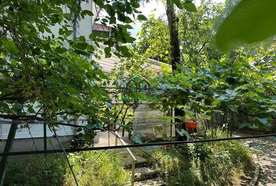 Casă cu Teren 341 Mp în Central - 3