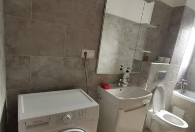 Ofer spre inchiriere apartament cu 2 camere Scriitorilor - 3