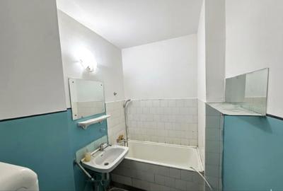 Titan Potcoava- parc Brancusi - 4