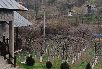 Casă cu Teren 2800 Mp în Boțești - 4