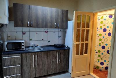 Casa la curte in Arad Centru-Intim - 3