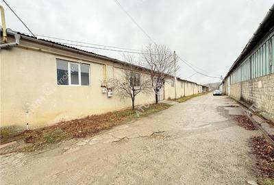 Hala industriala 1200 mp utili de inchiriat in Cisnadie - 12