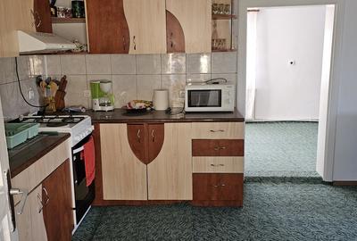 Neagra Sarului, Suceava - 11