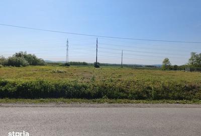 Teren de 42 mp, în Pănet - 5