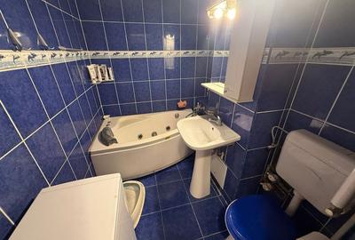 Apartament 3 camere Lacul Tei Teiul Doamnei - 10