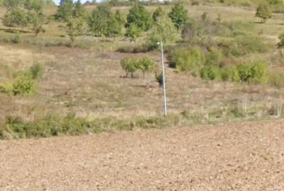 Teren de 5000 mp, în Central - 1