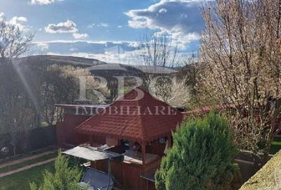 Casă cu 3 camere în Turea - 10