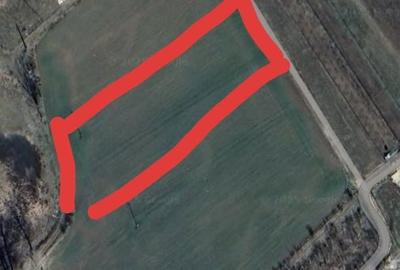 Spațiu comercial, în Bucov - 3