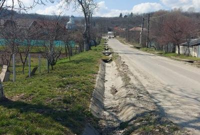 Teren de 40000 mp, în Bucșani - 3